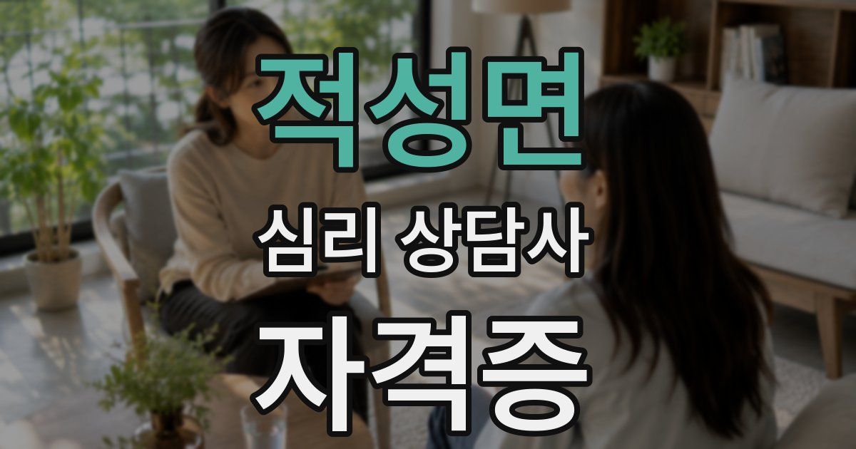 적성면 심리 상담사 자격증