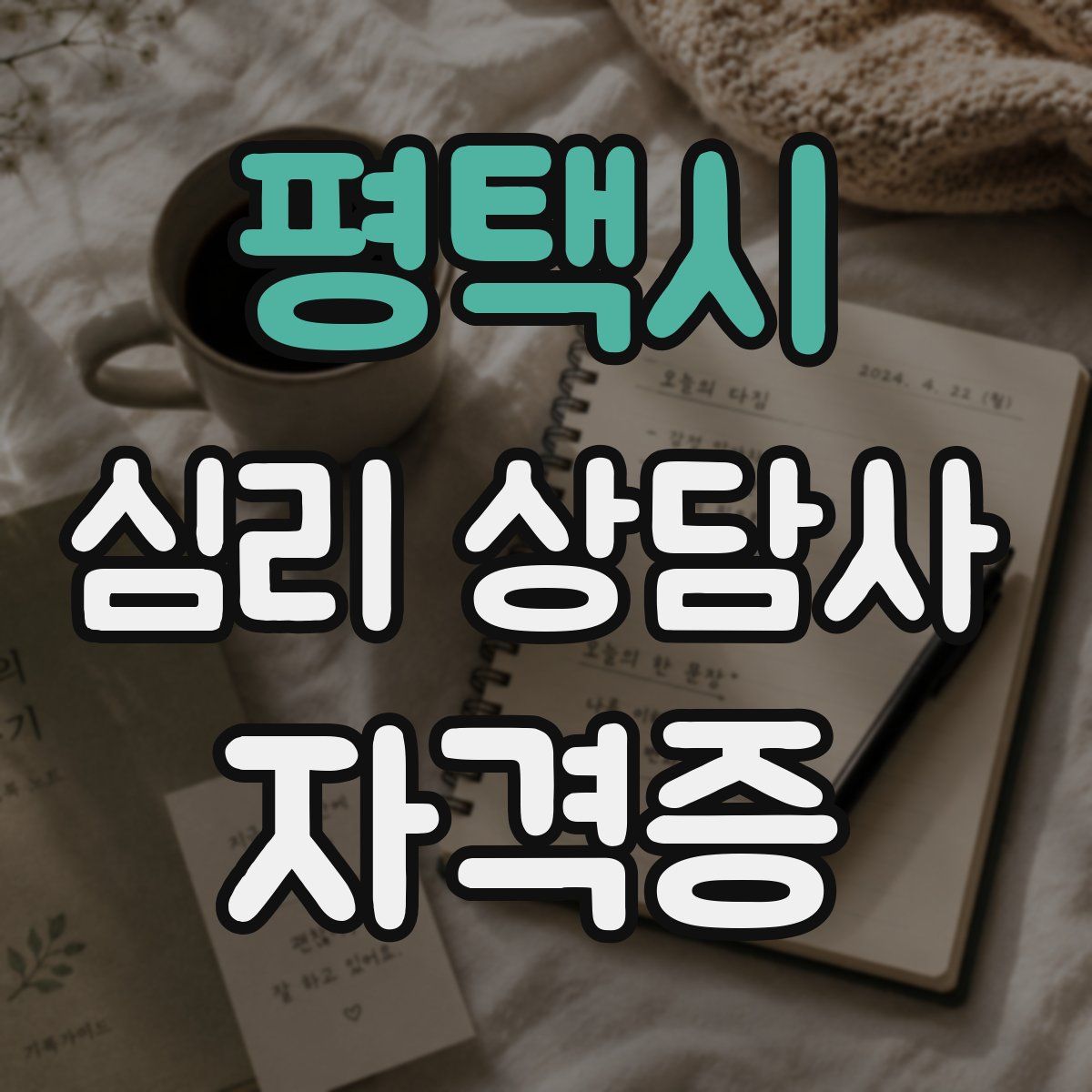평택시 심리 상담사 자격증