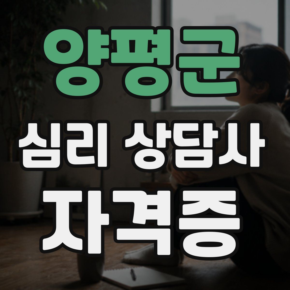 양평군 심리 상담사 자격증