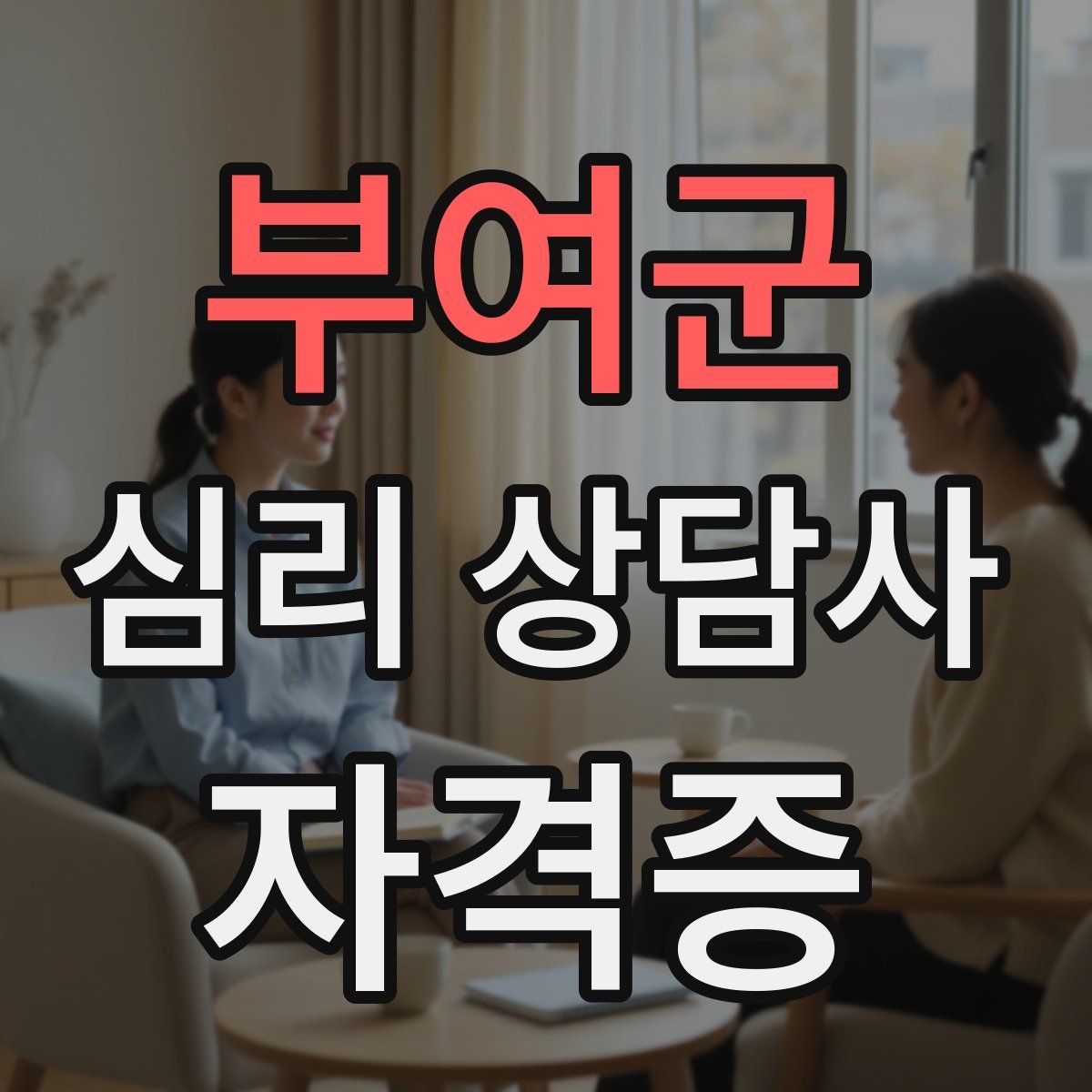부여군 심리 상담사 자격증
