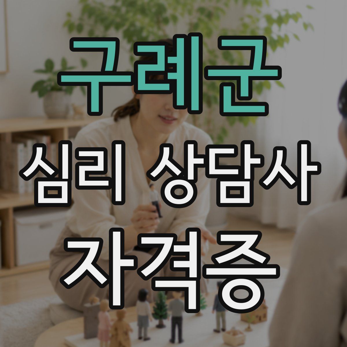 구례군 심리 상담사 자격증