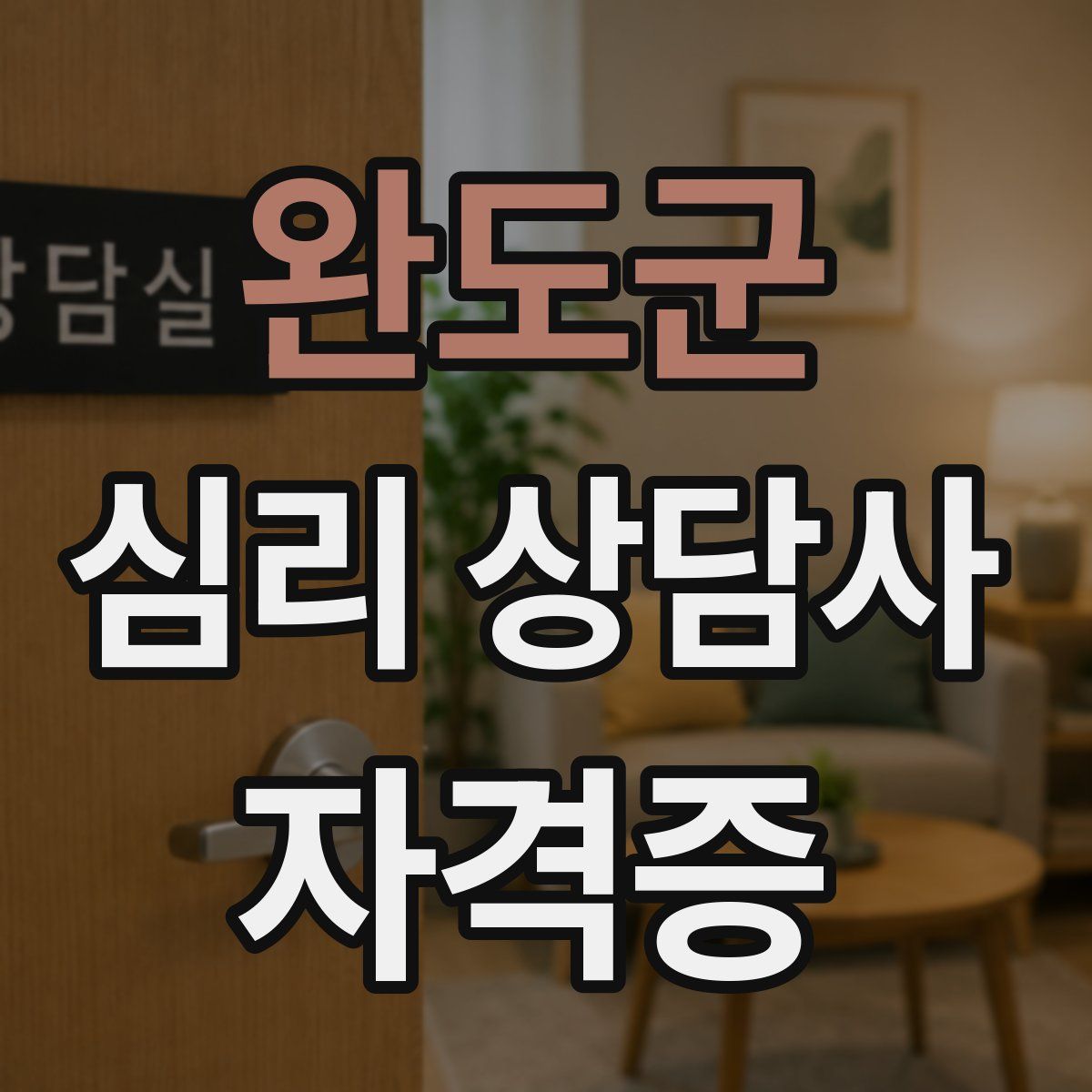 완도군 심리 상담사 자격증