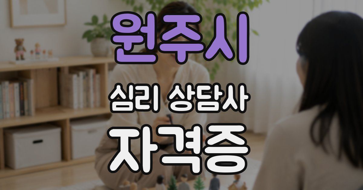 원주시 심리 상담사 자격증