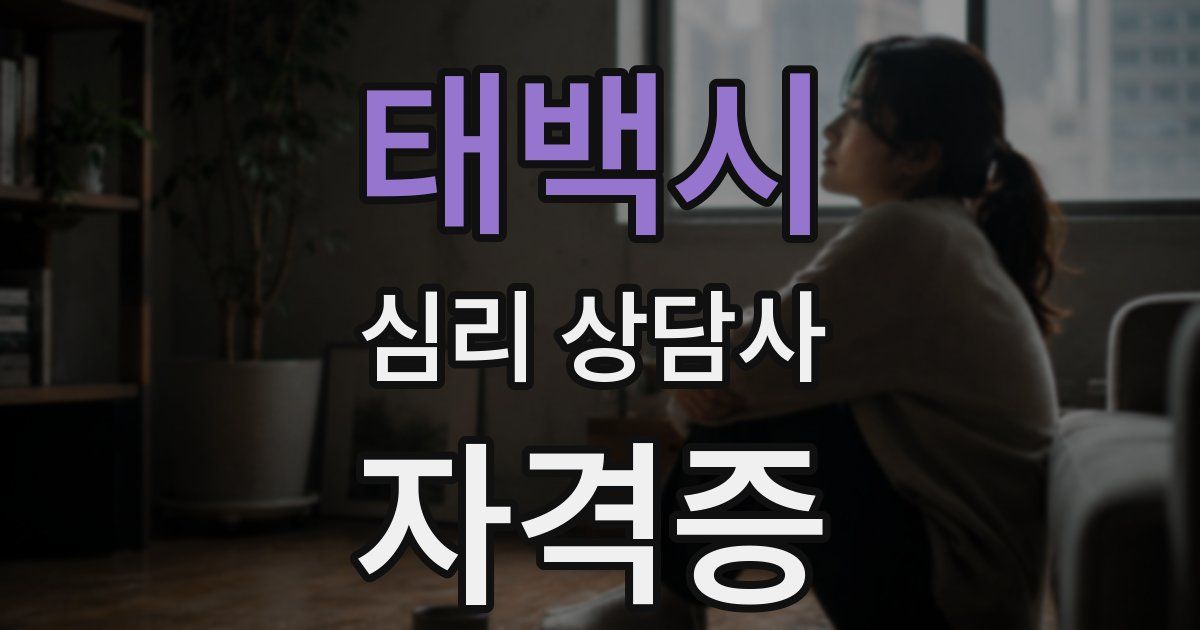태백시 심리 상담사 자격증
