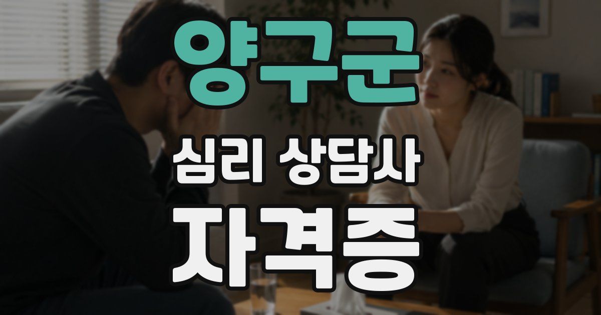 양구군 심리 상담사 자격증