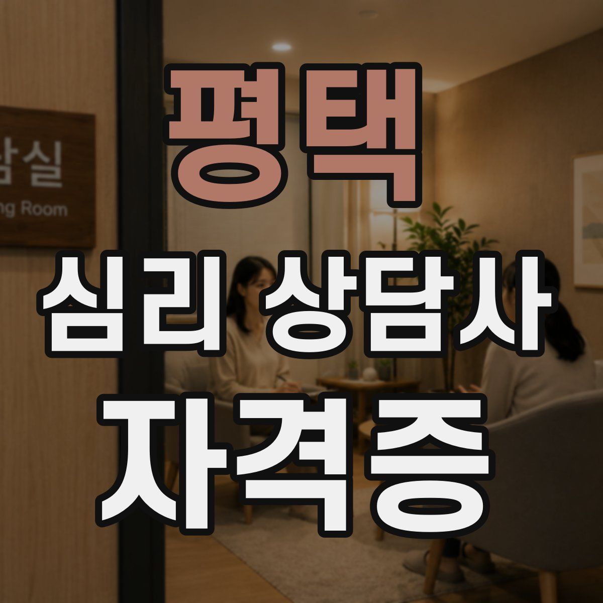 평택 심리 상담사 자격증
