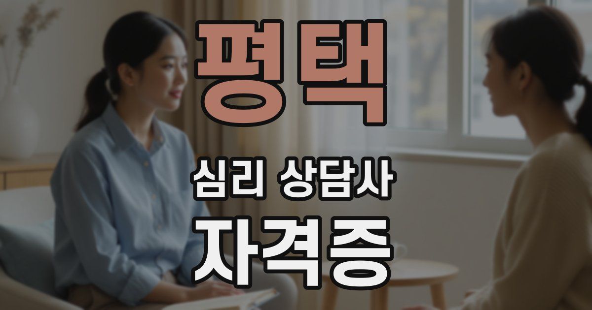 평택 심리 상담사 자격증
