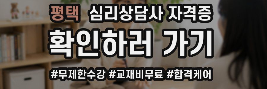 평택 심리 상담사 자격증