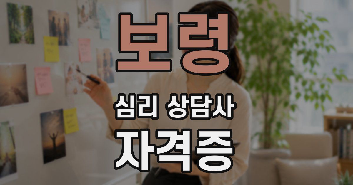 보령 심리 상담사 자격증