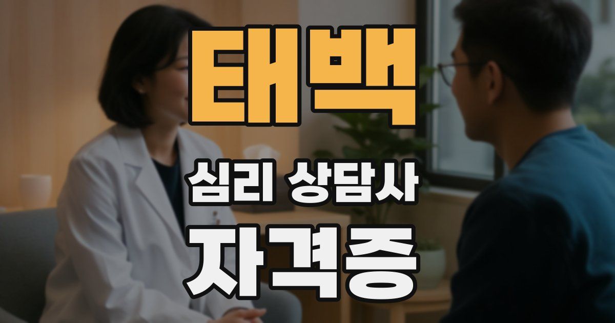 태백 심리 상담사 자격증