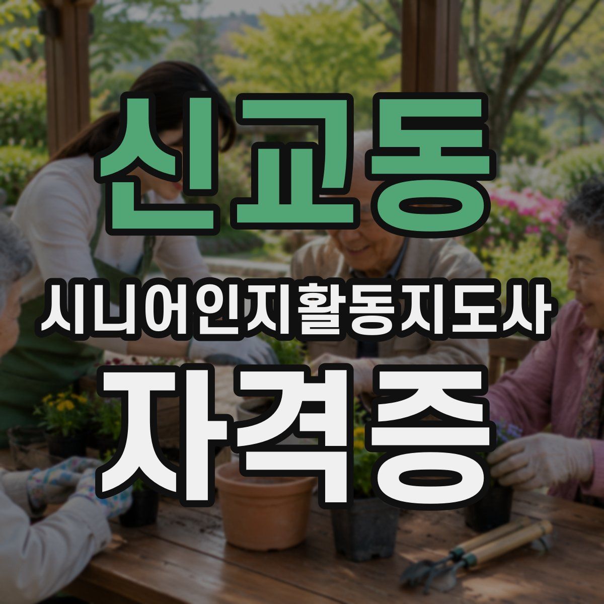 신교동 시니어인지활동지도사 자격증