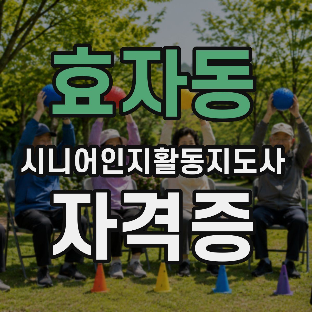 효자동 시니어인지활동지도사 자격증