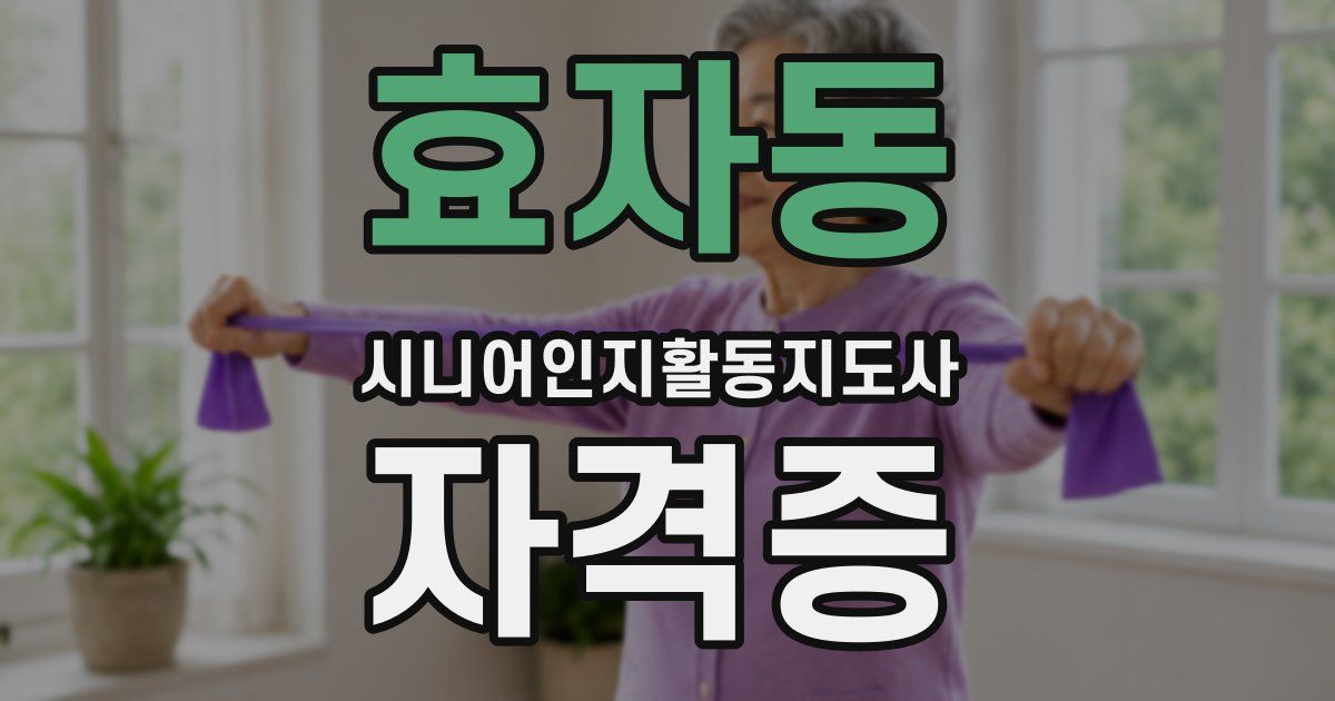 효자동 시니어인지활동지도사 자격증