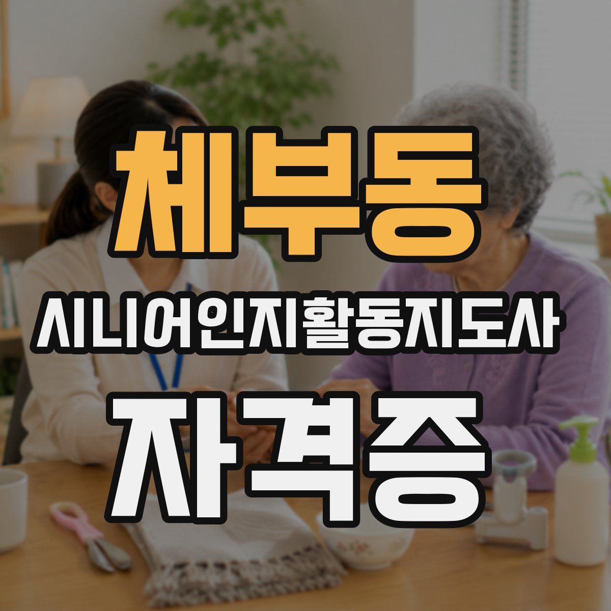 체부동 시니어인지활동지도사 자격증