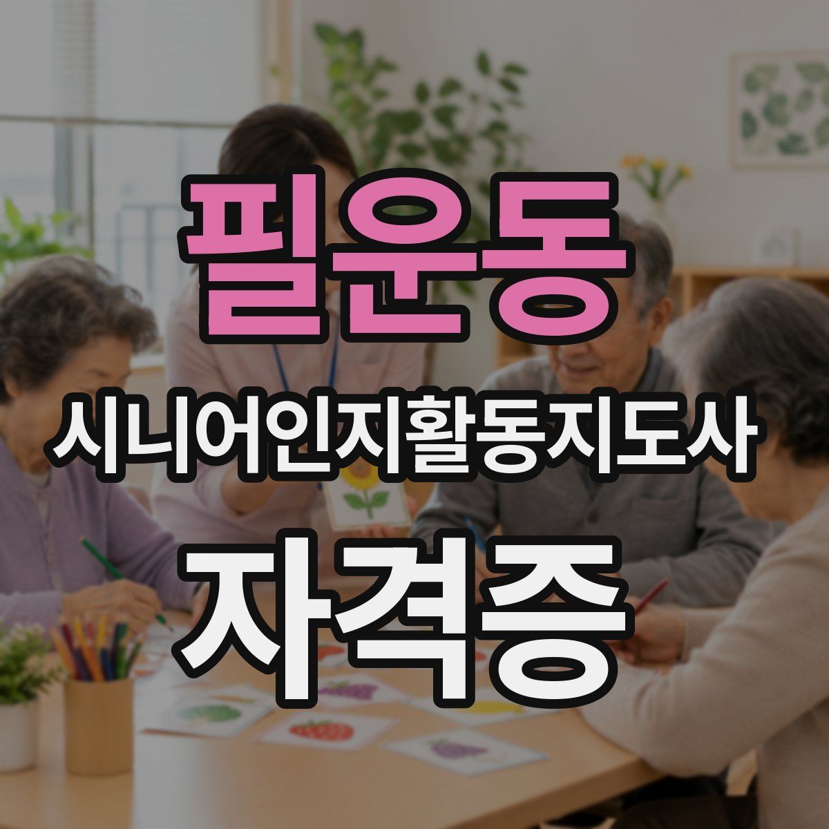 필운동 시니어인지활동지도사 자격증