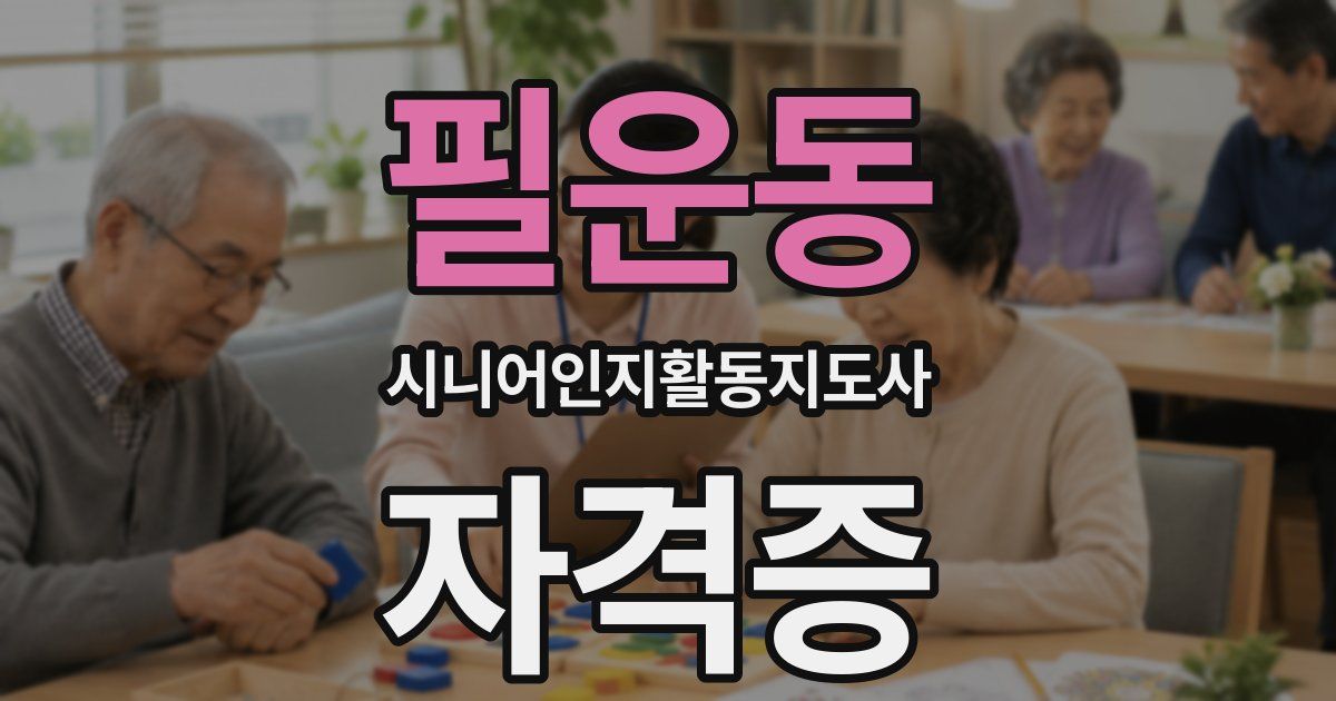 필운동 시니어인지활동지도사 자격증