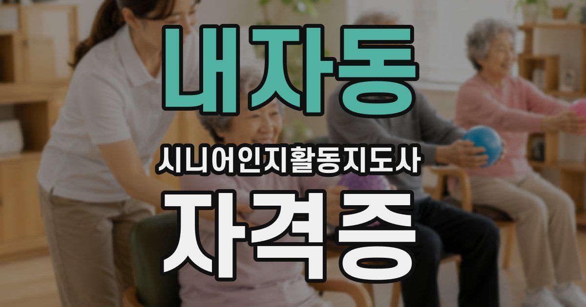 내자동 시니어인지활동지도사 자격증