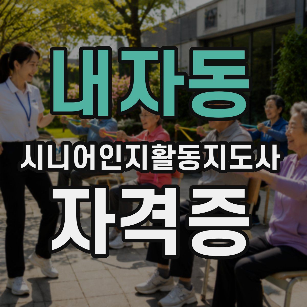 내자동 시니어인지활동지도사 자격증