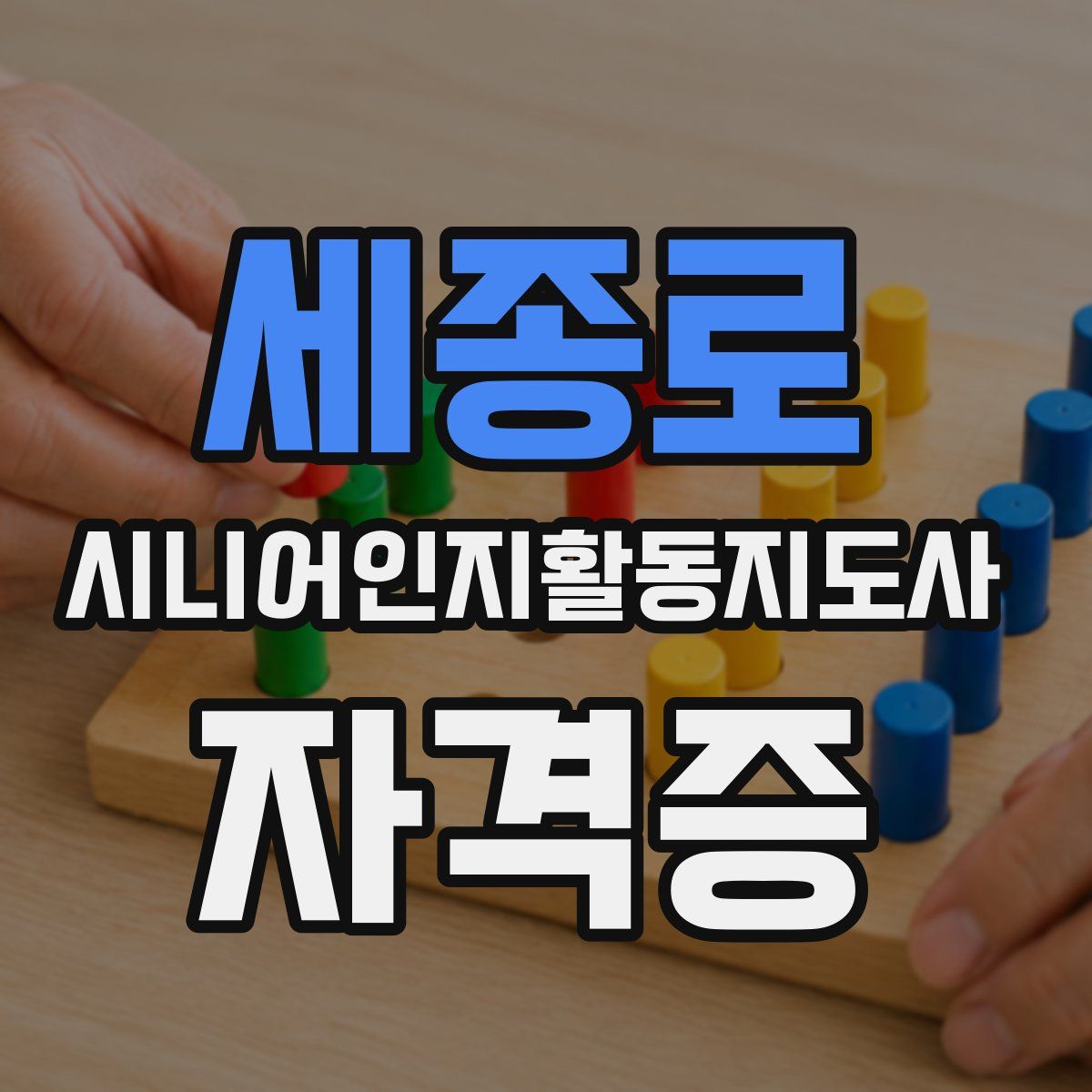 세종로 시니어인지활동지도사 자격증