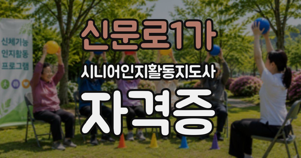 신문로1가 시니어인지활동지도사 자격증