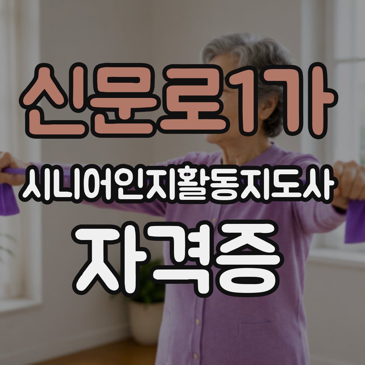 신문로1가 시니어인지활동지도사 자격증