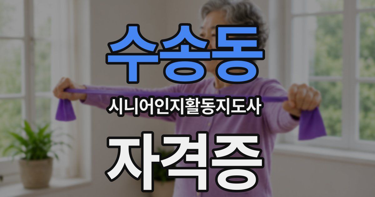 수송동 시니어인지활동지도사 자격증