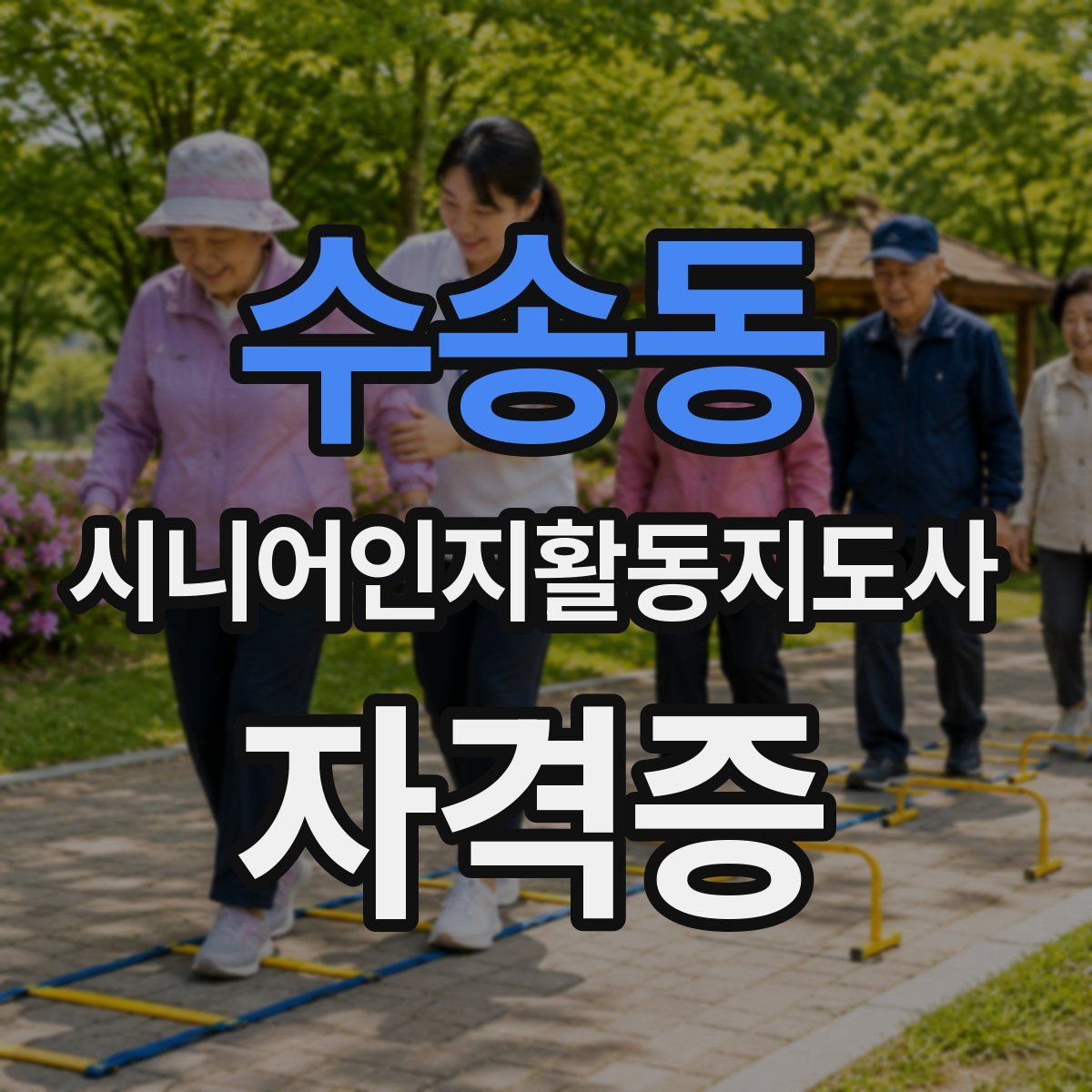 수송동 시니어인지활동지도사 자격증