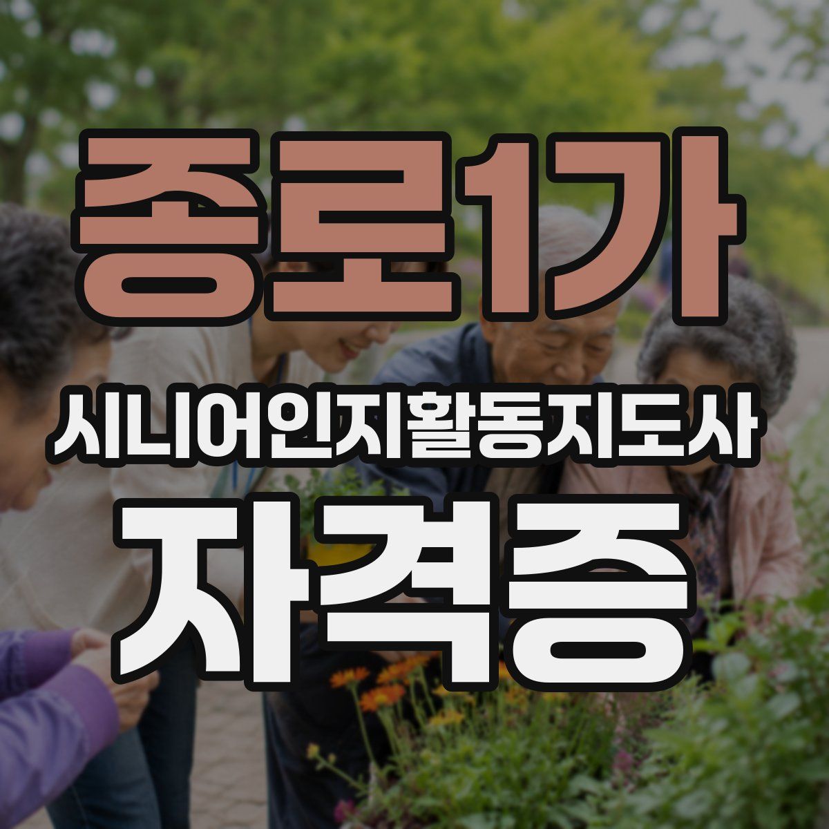 종로1가 시니어인지활동지도사 자격증