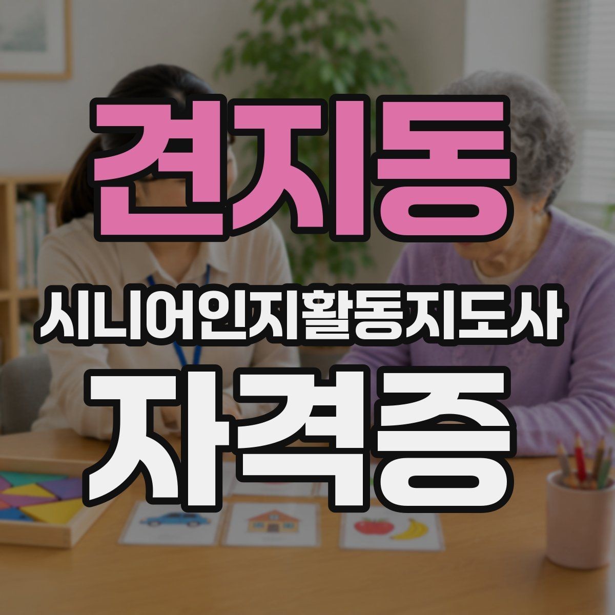 견지동 시니어인지활동지도사 자격증 관련 제도와 기본 용어