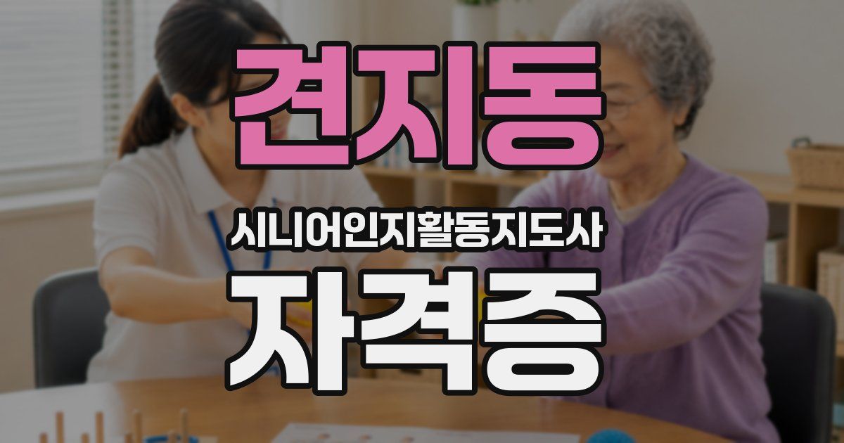 견지동 시니어인지활동지도사 자격증