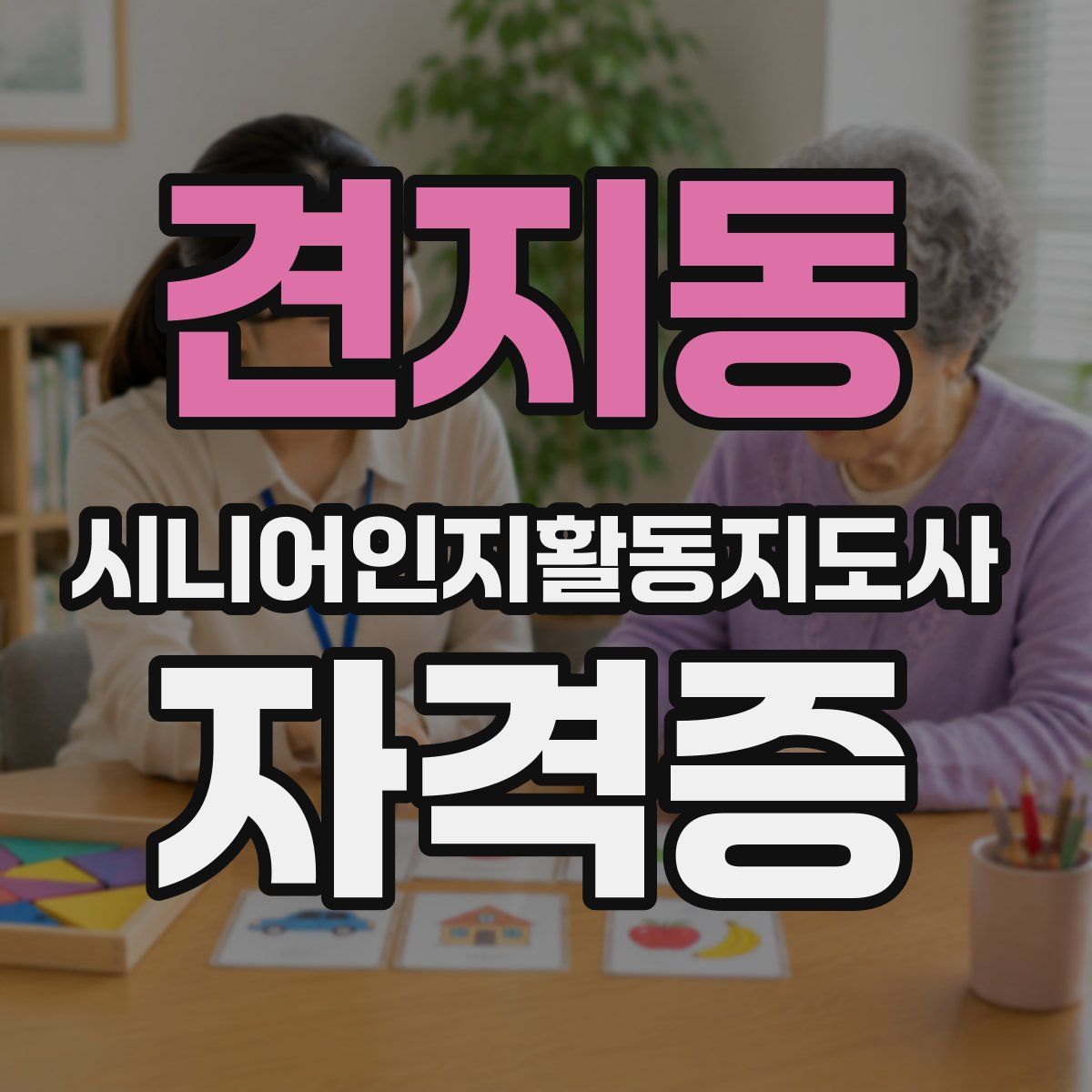 견지동 시니어인지활동지도사 자격증