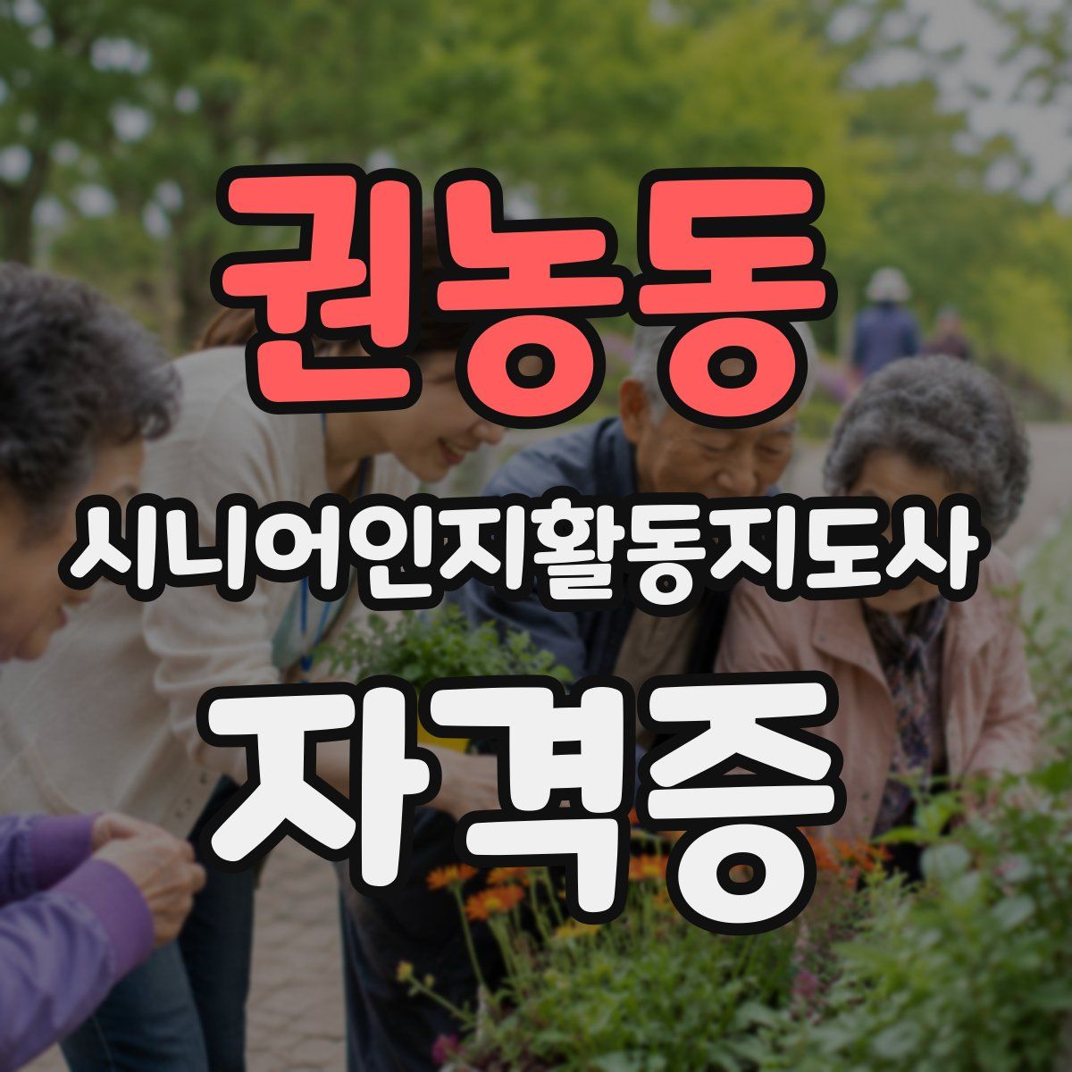 권농동 시니어인지활동지도사 자격증