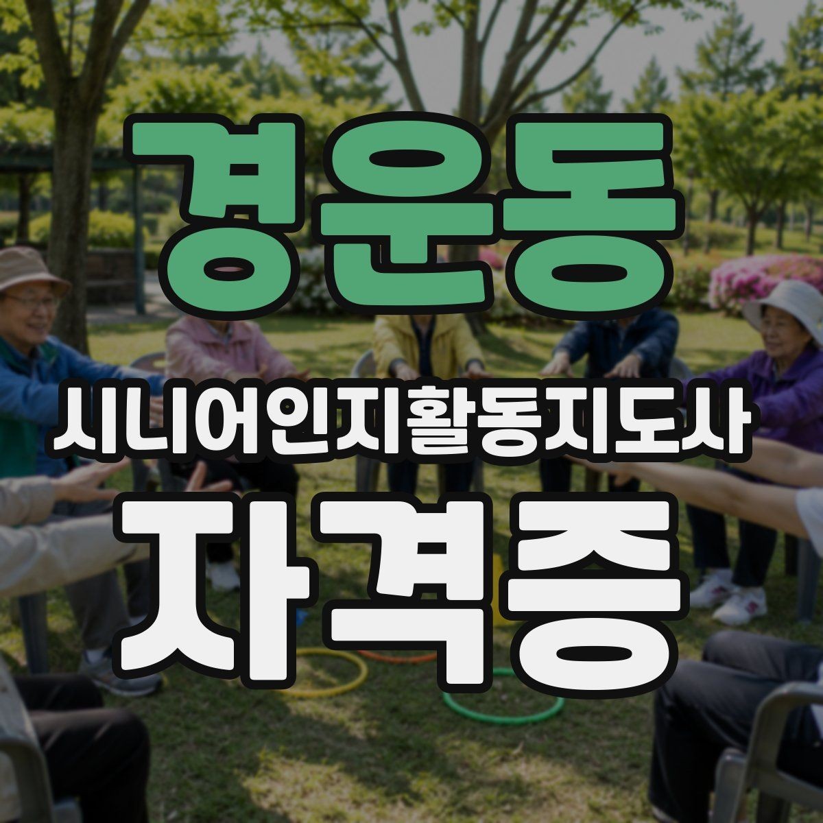 경운동 시니어인지활동지도사 자격증 취득 후 활동 가능한 곳