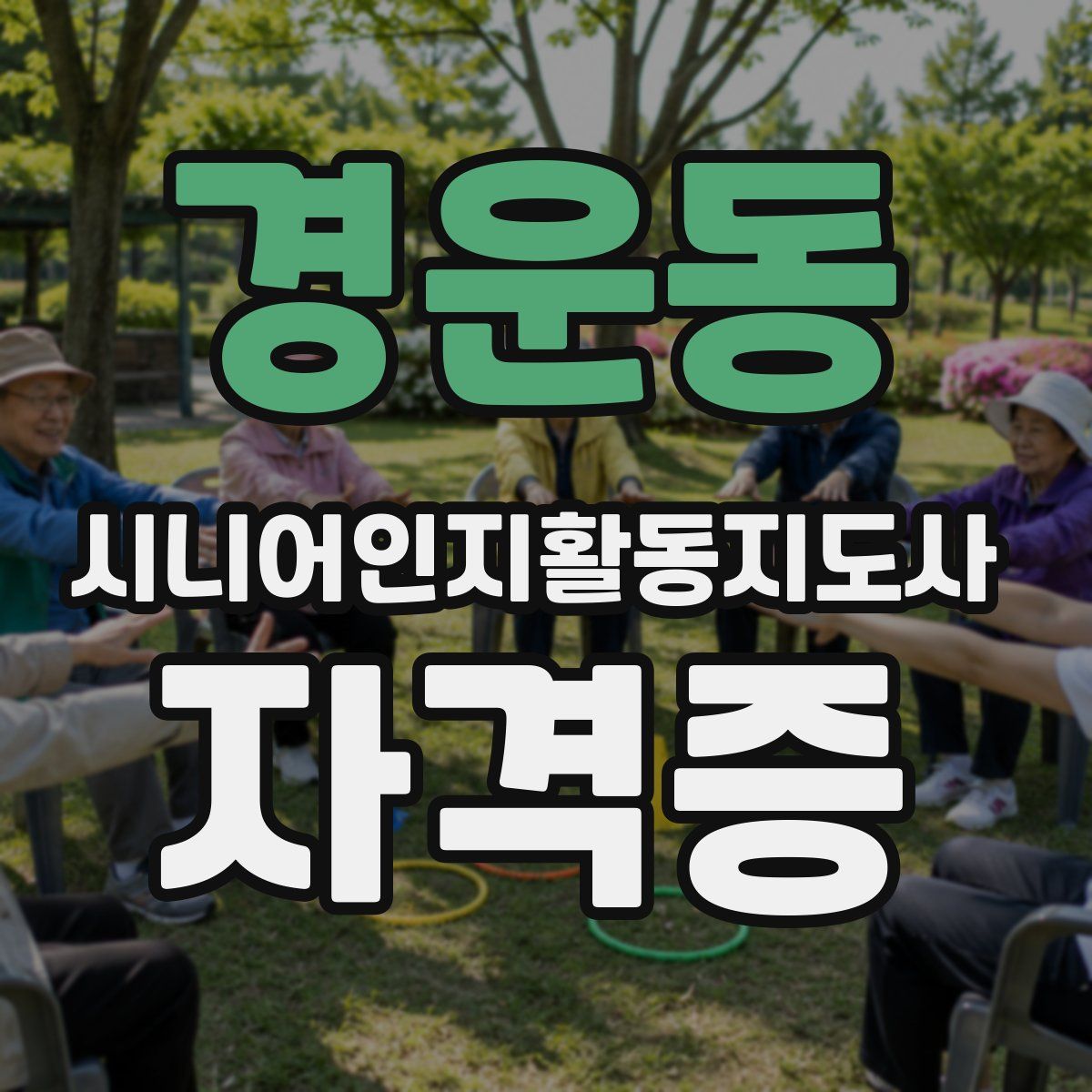 경운동 시니어인지활동지도사 자격증