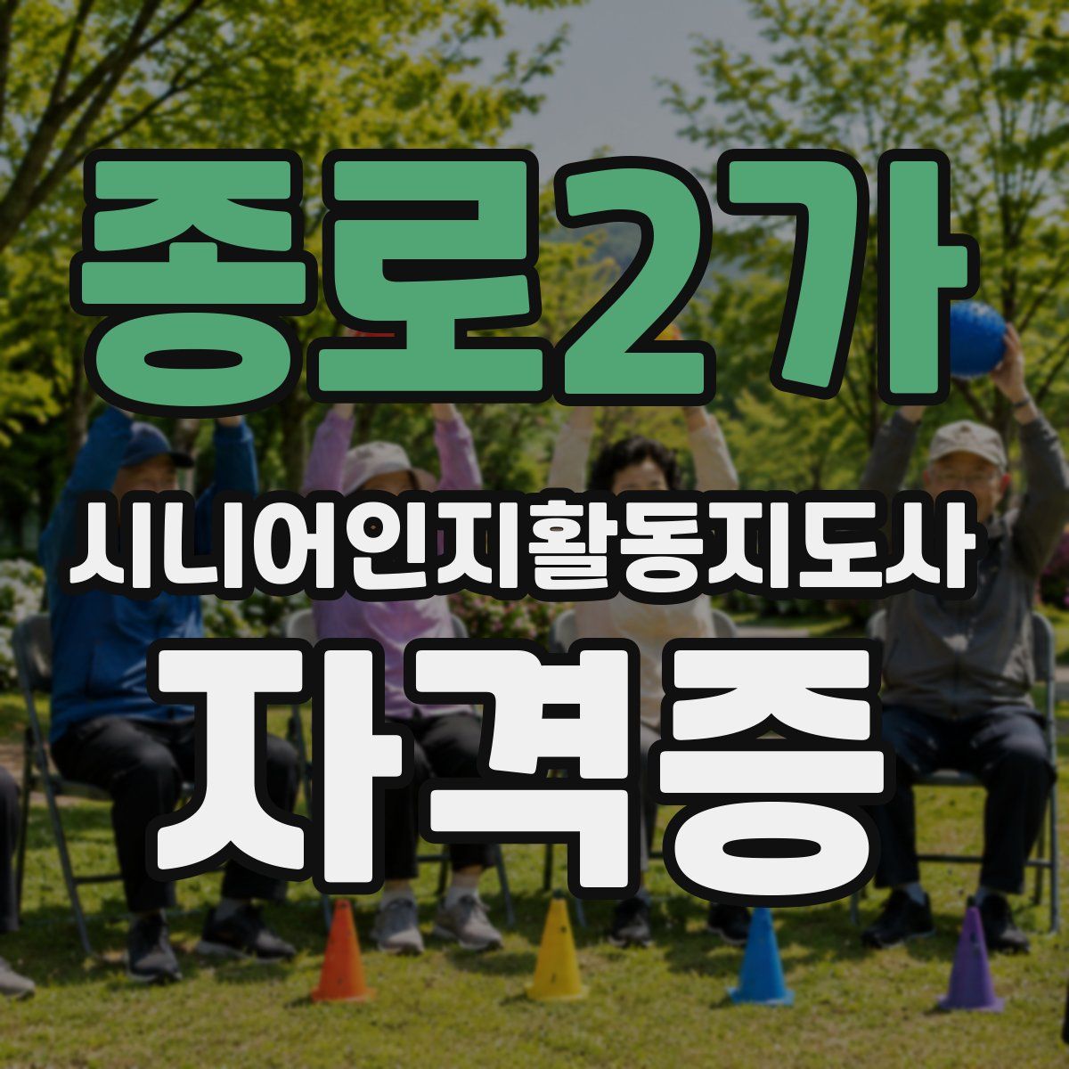 종로2가 시니어인지활동지도사 자격증