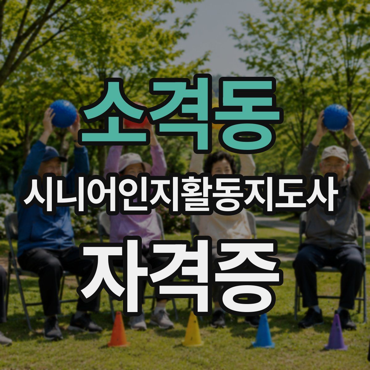 소격동 시니어인지활동지도사 자격증
