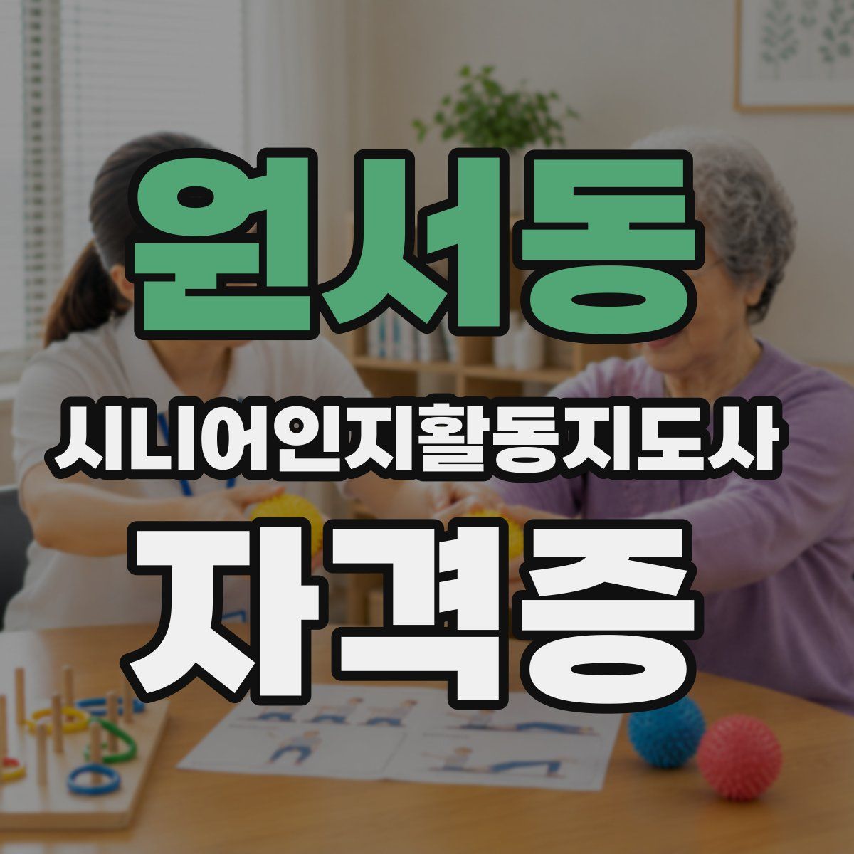원서동 시니어인지활동지도사 자격증