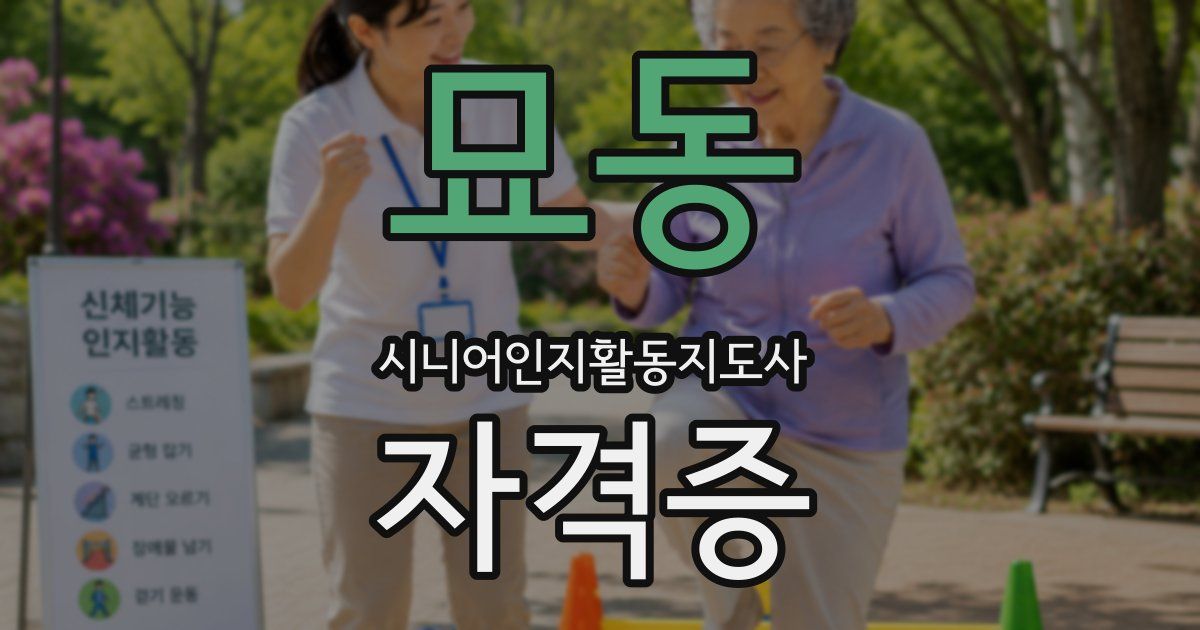 묘동 시니어인지활동지도사 자격증