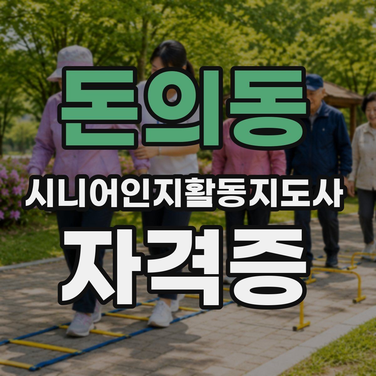 돈의동 시니어인지활동지도사 자격증 시험 접수부터 응시까지