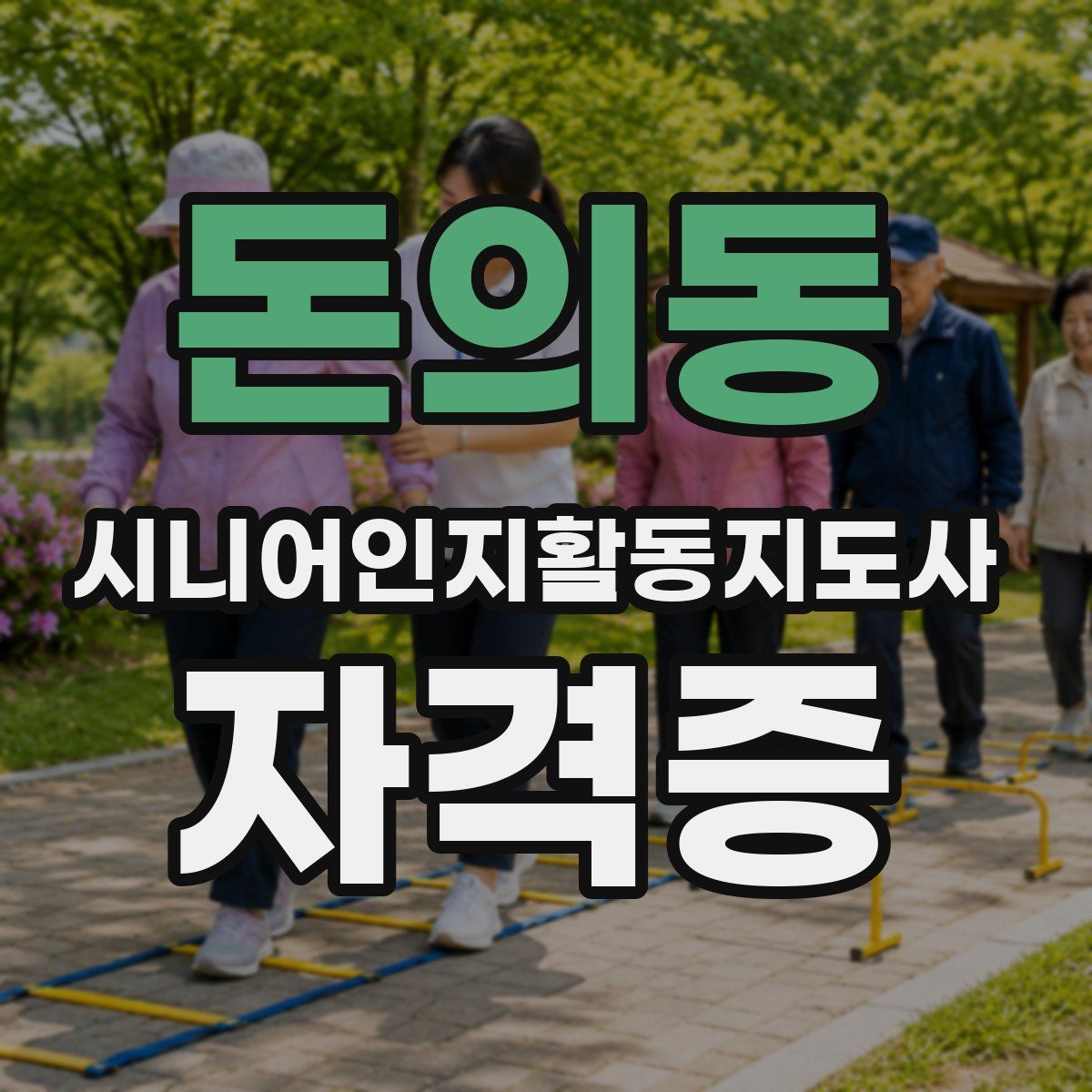 돈의동 시니어인지활동지도사 자격증