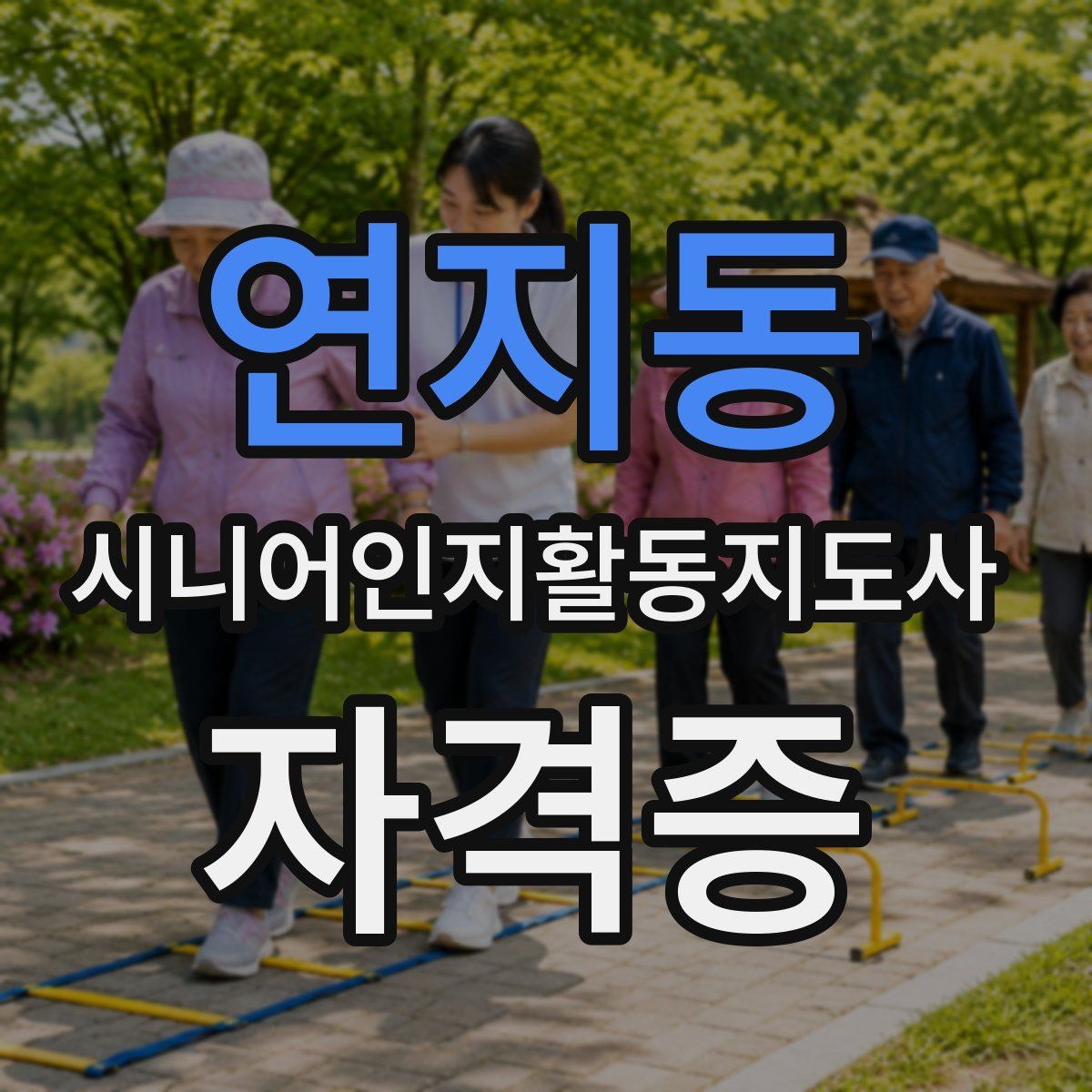 연지동 시니어인지활동지도사 자격증