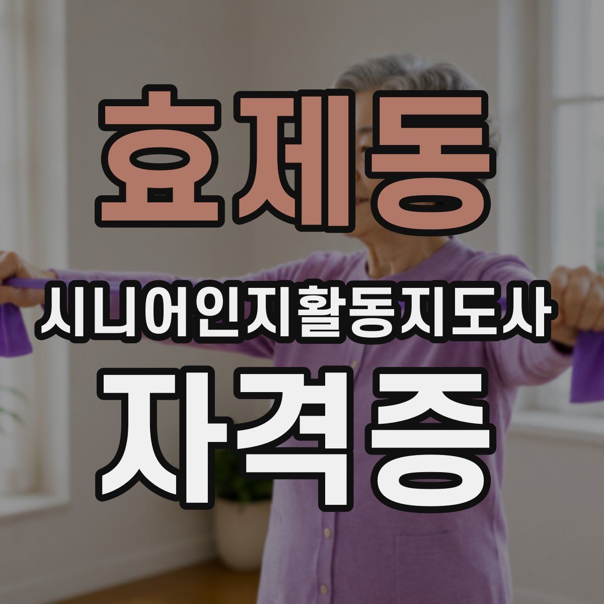 효제동 시니어인지활동지도사 자격증