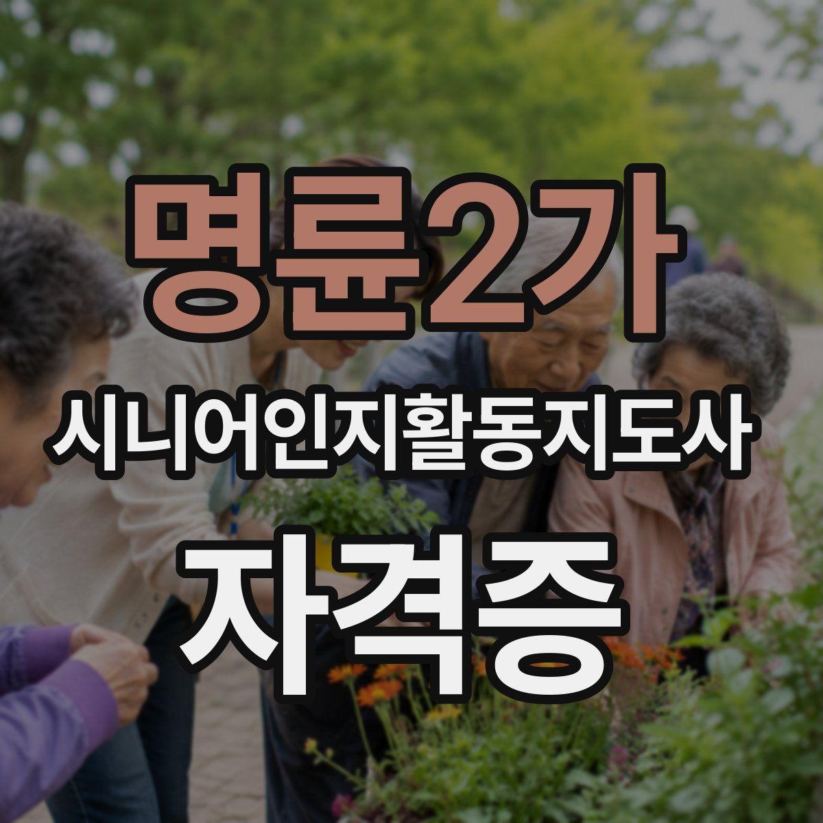 명륜2가 시니어인지활동지도사 자격증