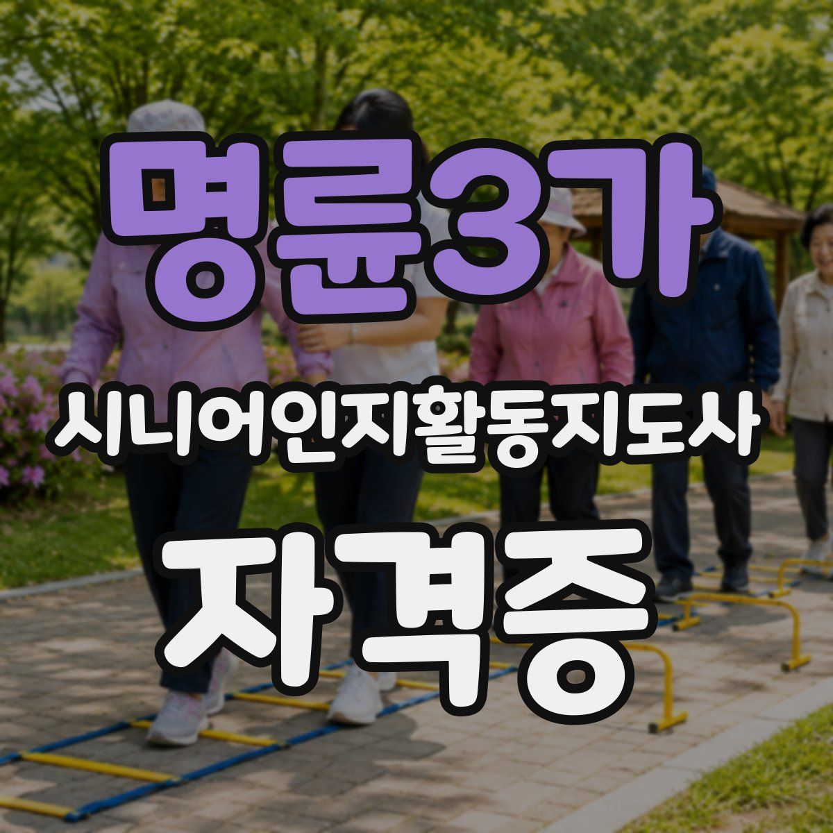 명륜3가 시니어인지활동지도사 자격증