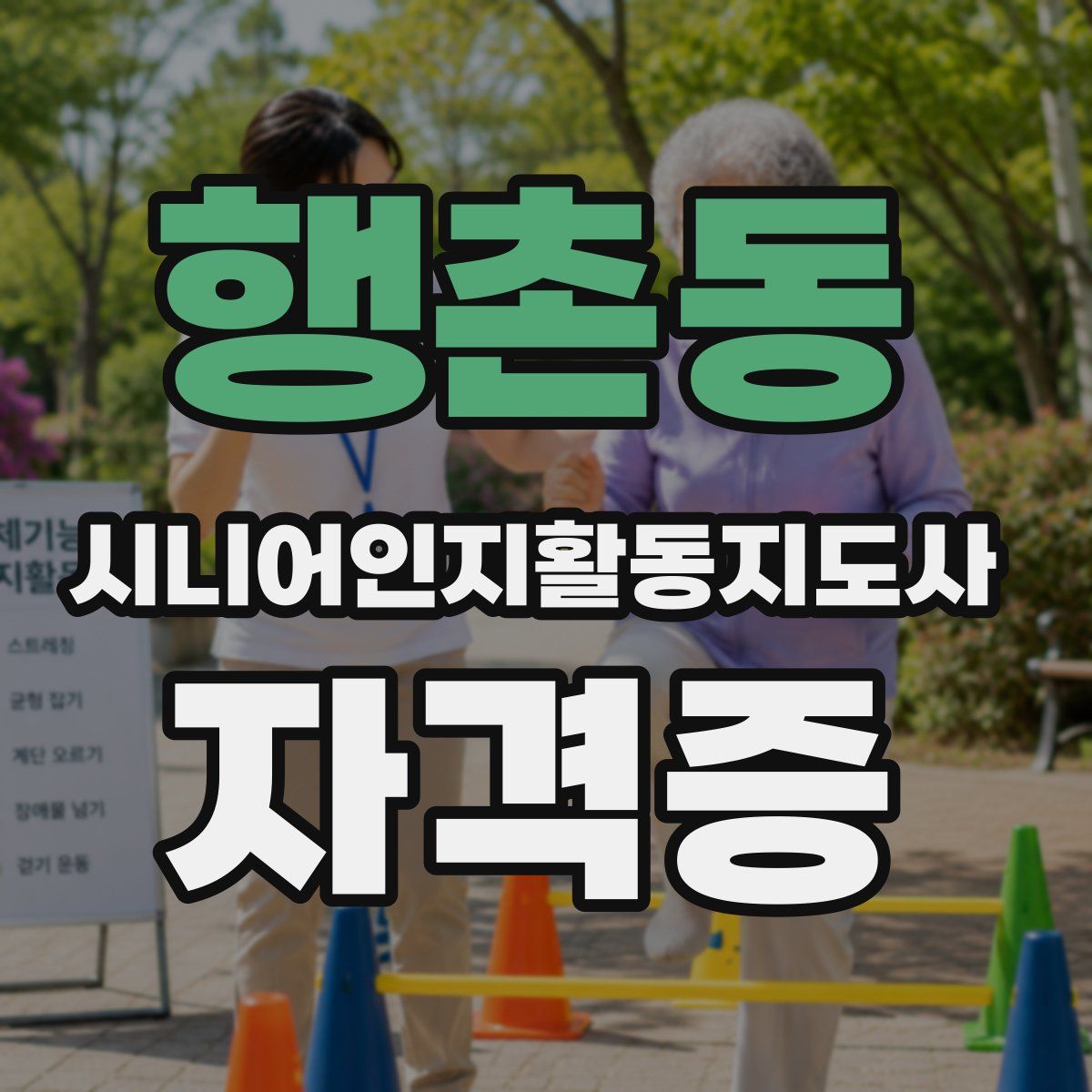 행촌동 시니어인지활동지도사 자격증