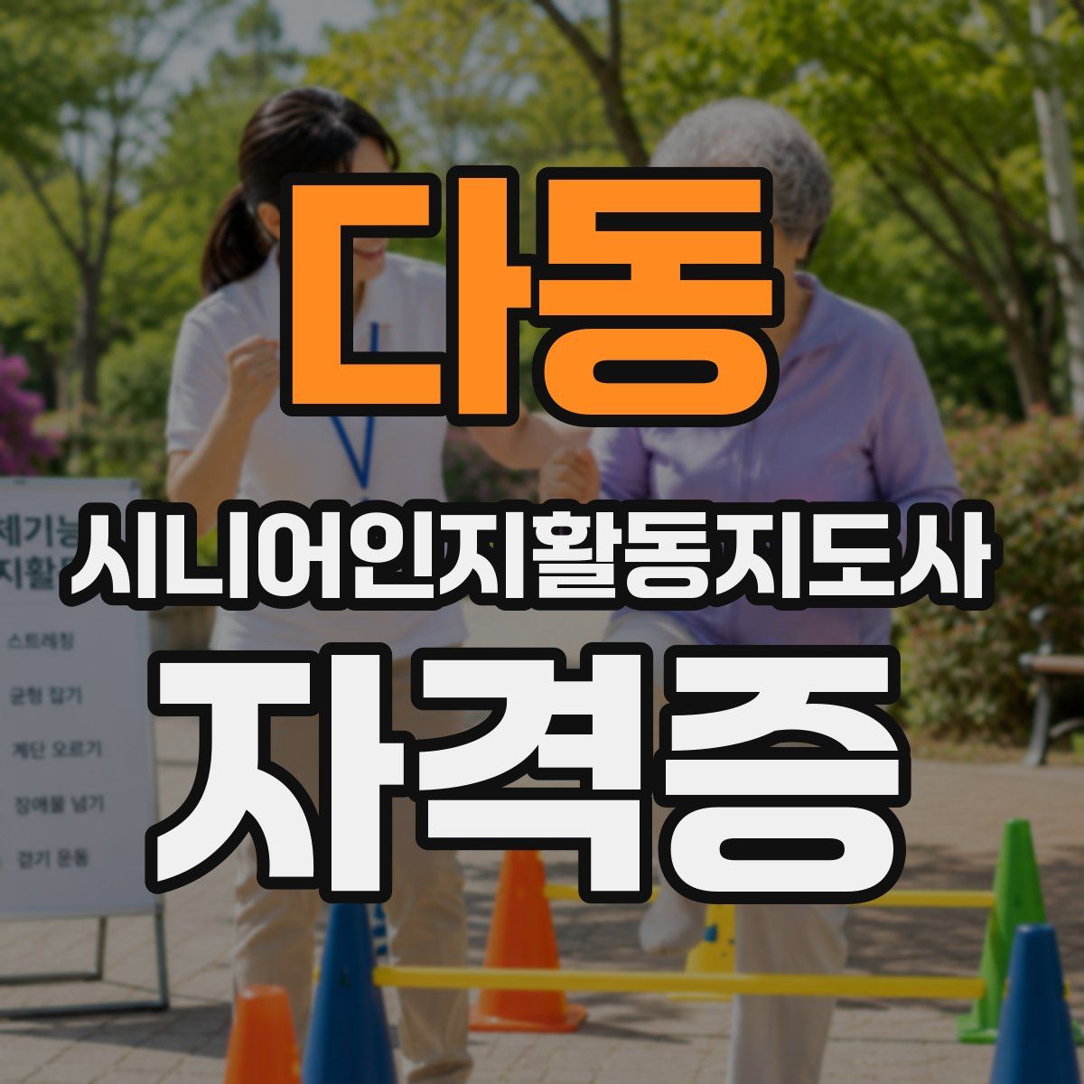 다동 시니어인지활동지도사 자격증