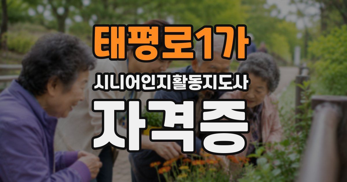 태평로1가 시니어인지활동지도사 자격증