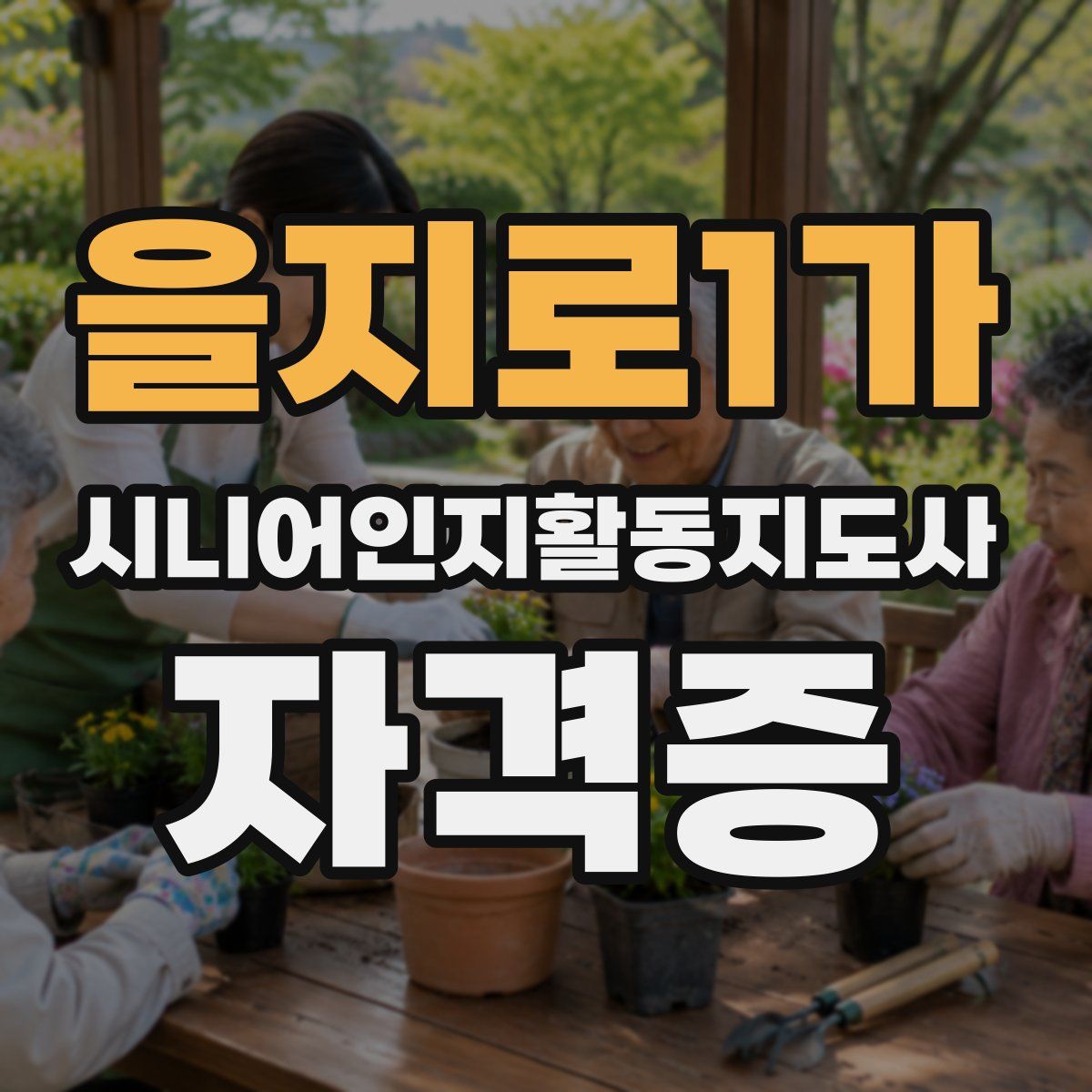을지로1가 시니어인지활동지도사 자격증