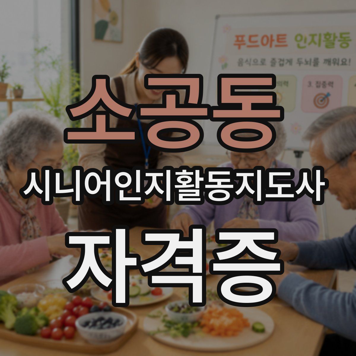 소공동 시니어인지활동지도사 자격증