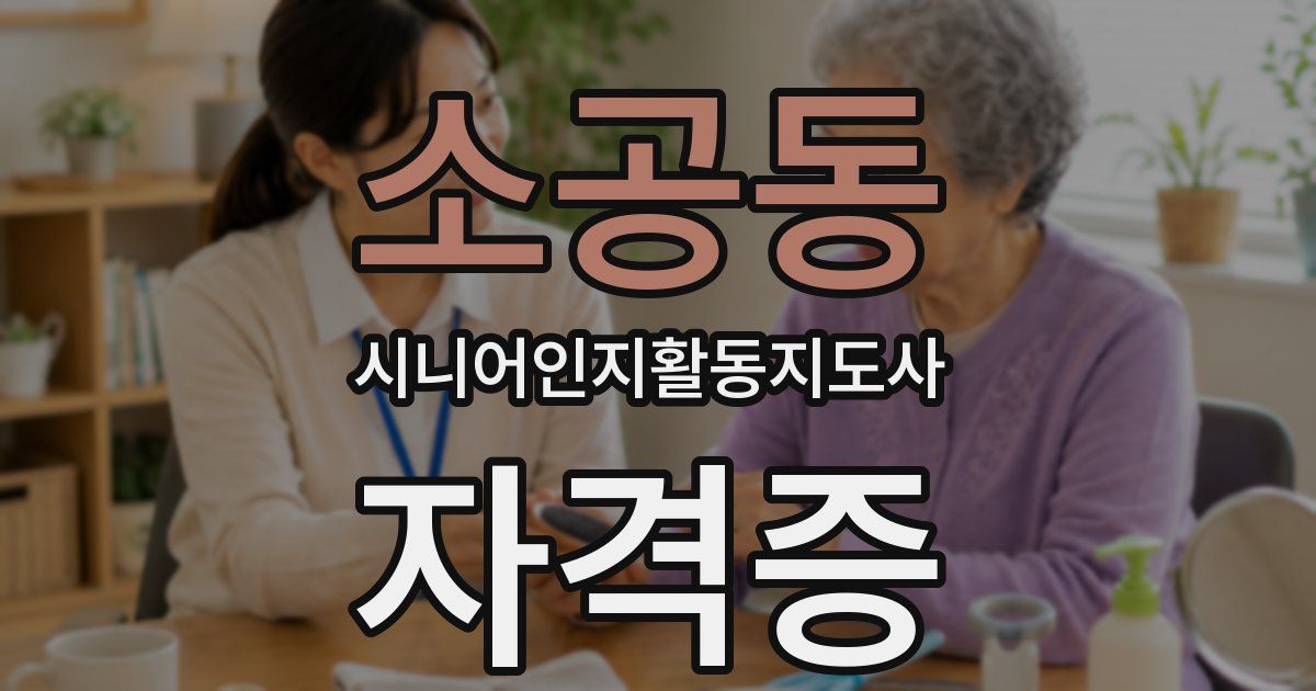 소공동 시니어인지활동지도사 자격증